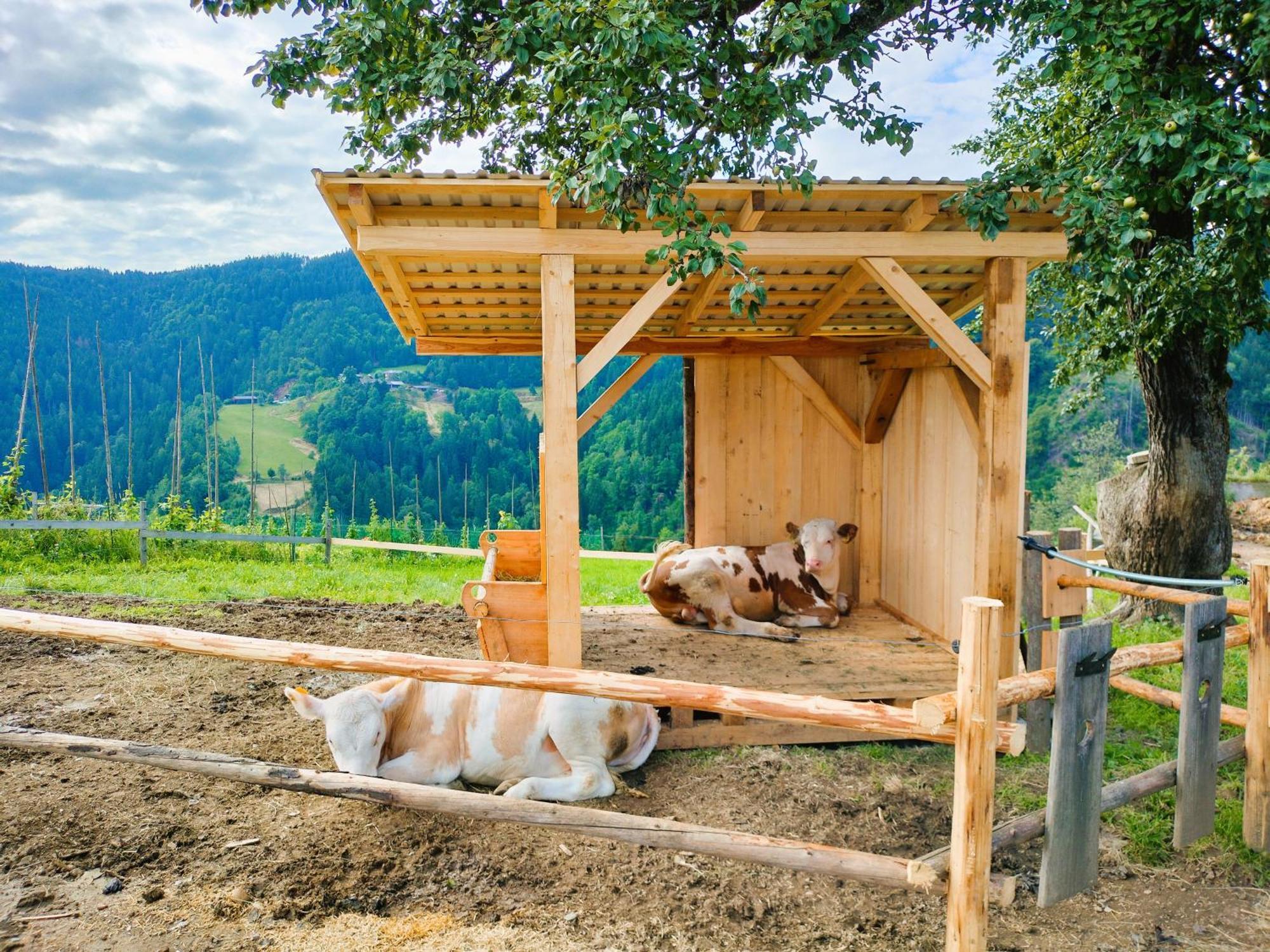 Apartments Organic Tourist Farm Gradisnik Prevalje Exteriör bild