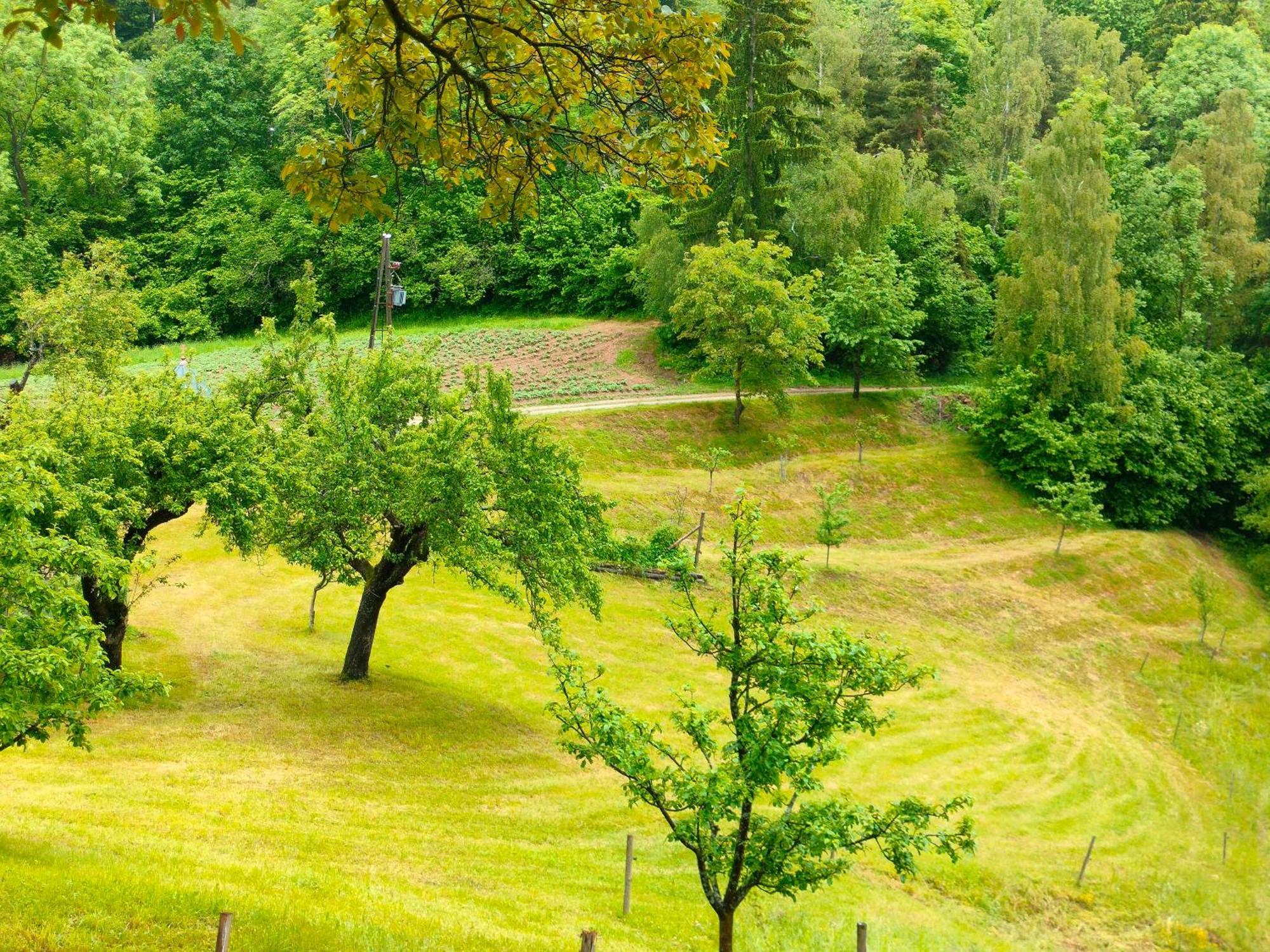 Apartments Organic Tourist Farm Gradisnik Prevalje Exteriör bild