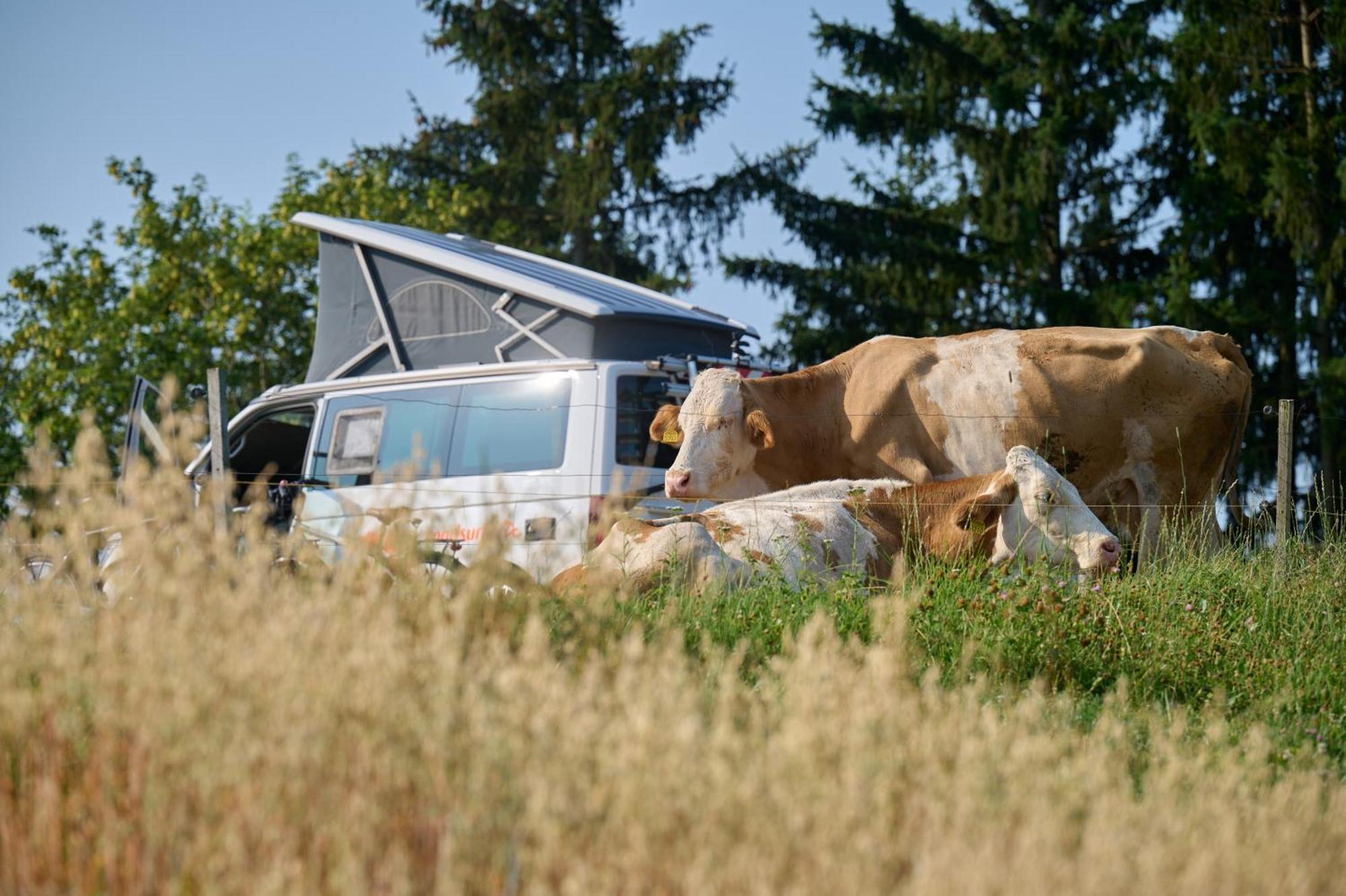 Apartments Organic Tourist Farm Gradisnik Prevalje Exteriör bild