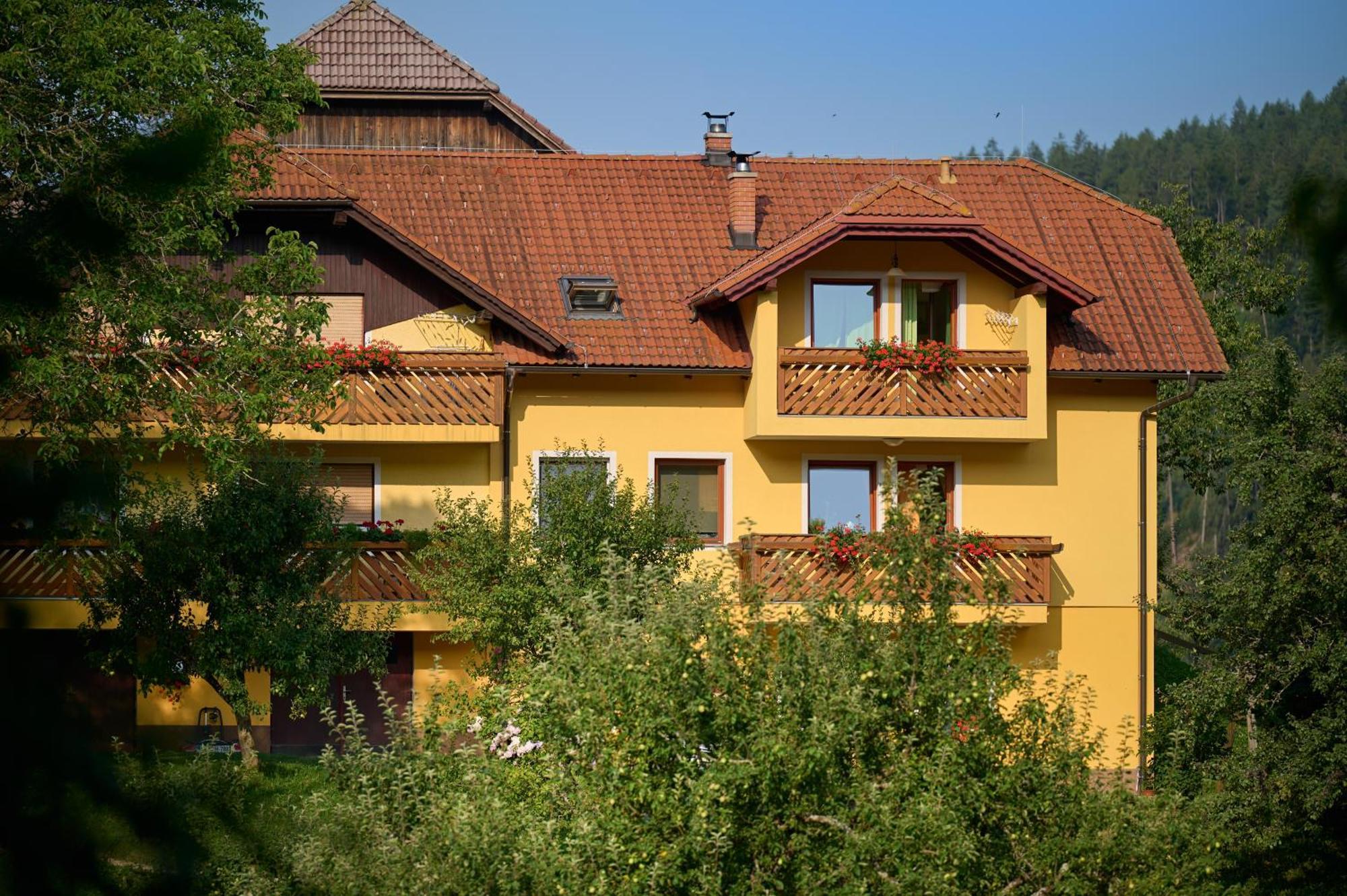 Apartments Organic Tourist Farm Gradisnik Prevalje Exteriör bild