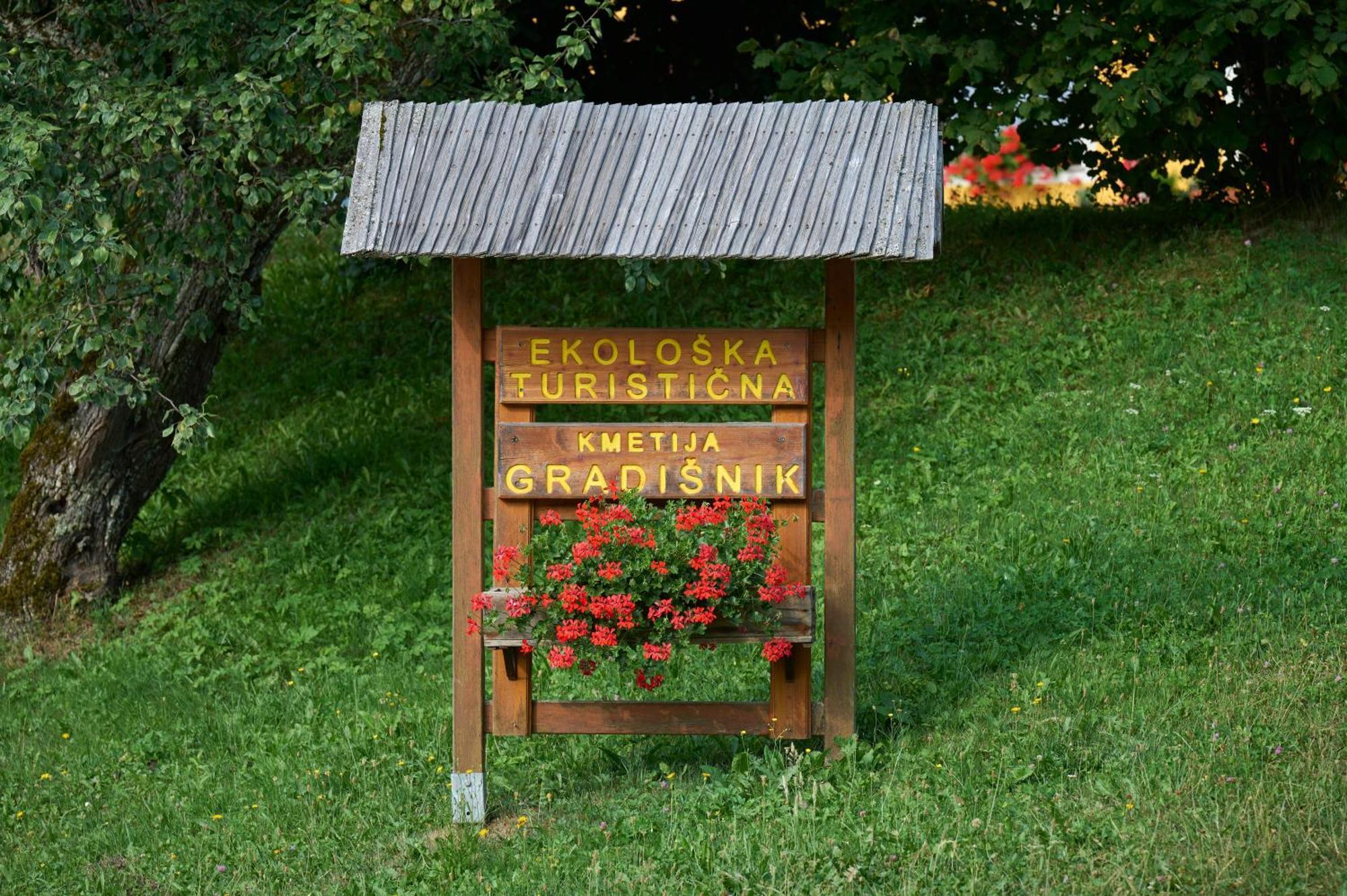 Apartments Organic Tourist Farm Gradisnik Prevalje Exteriör bild