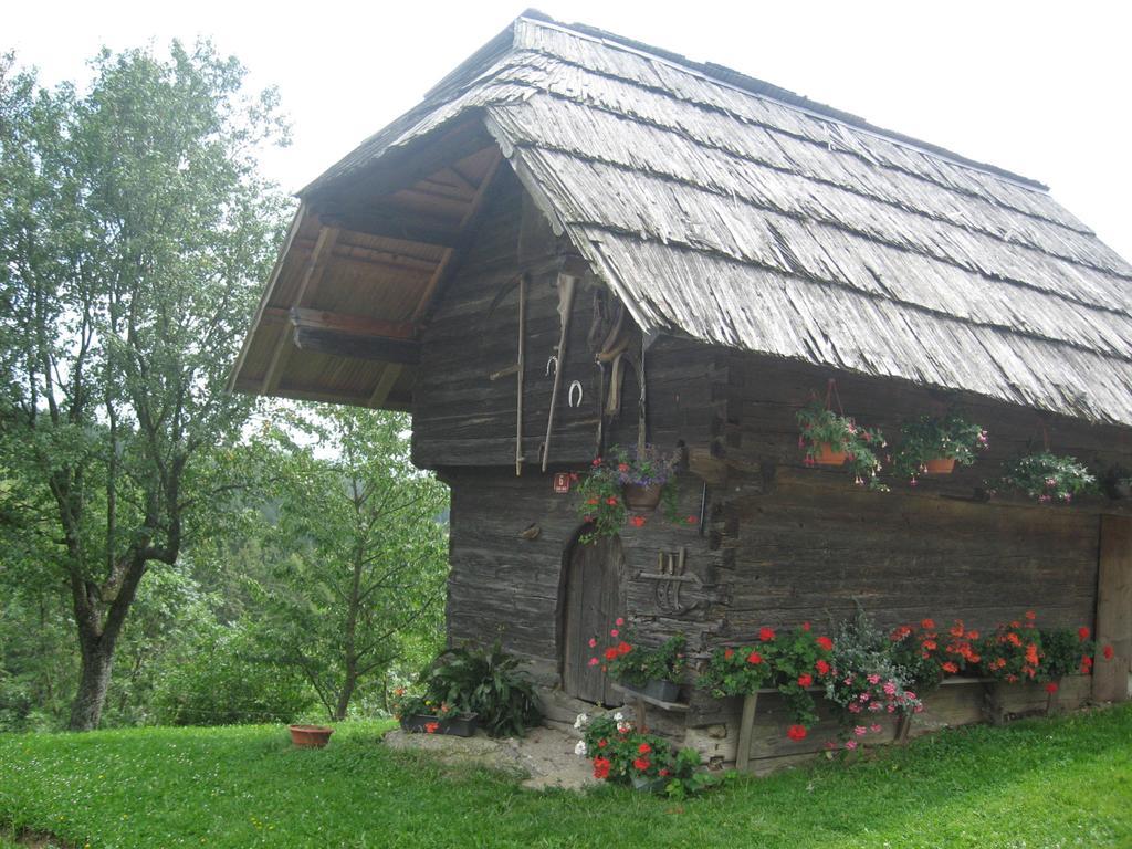 Apartments Organic Tourist Farm Gradisnik Prevalje Exteriör bild